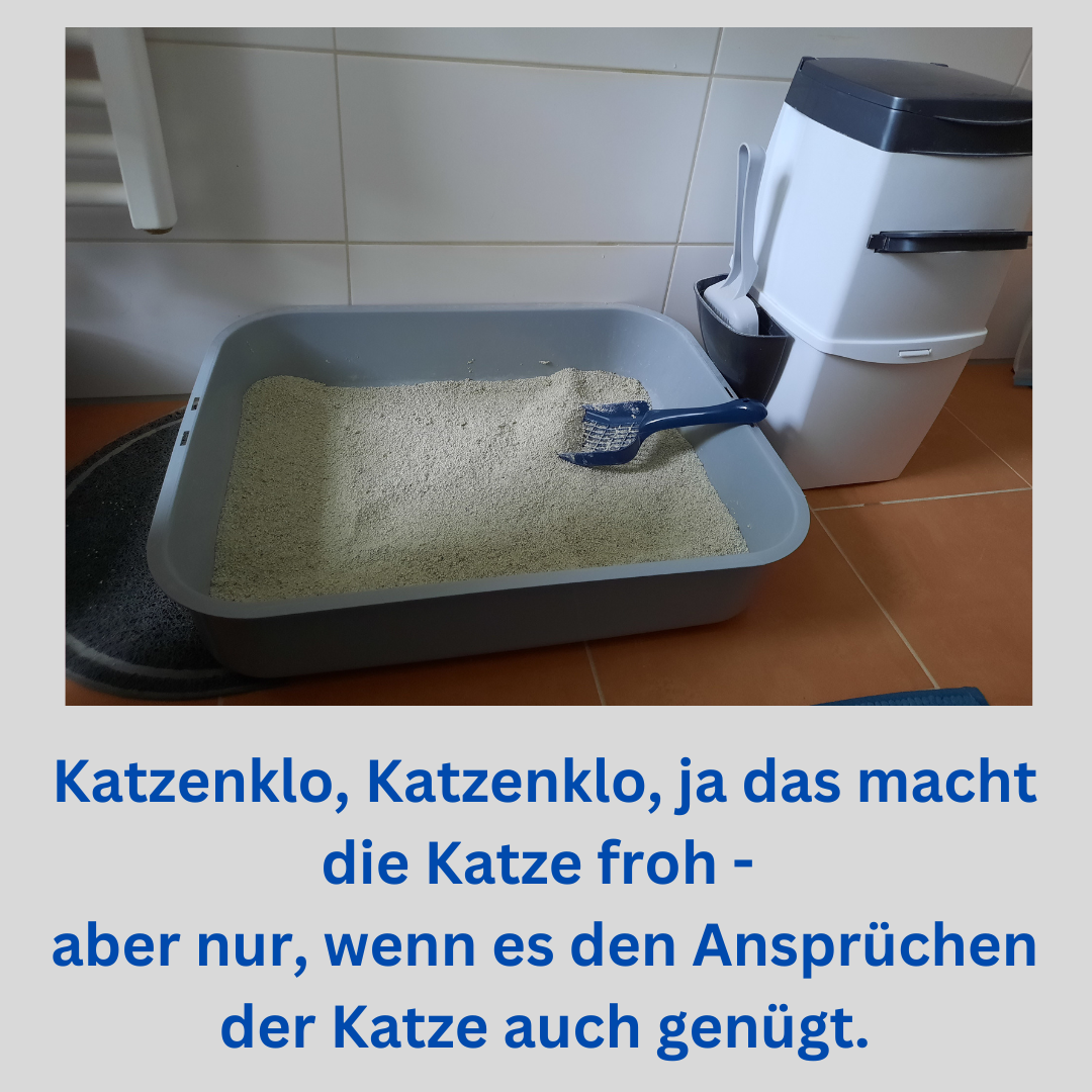 23-02-11 Katzenklo.png